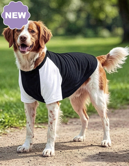 Hunde Raglan T-Shirt