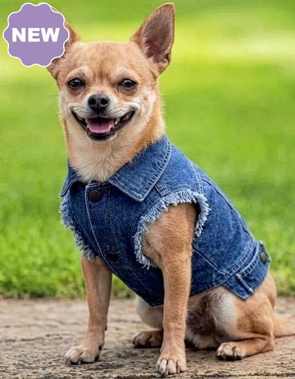 Hunde Jeansjacke