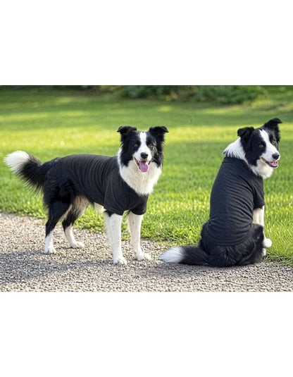 Hunde Raglan T-Shirt