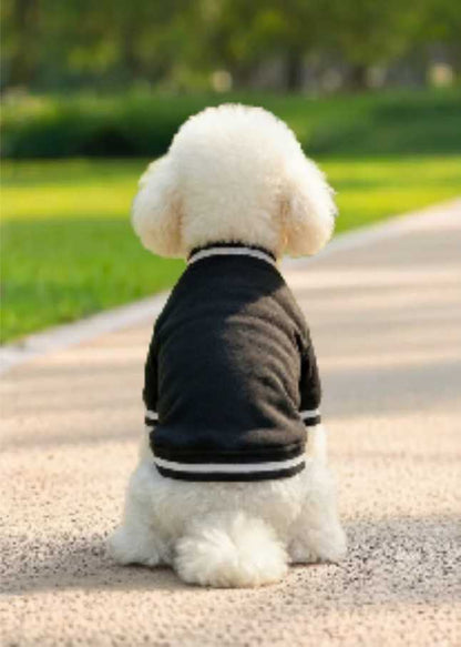 Hunde Collegejacke