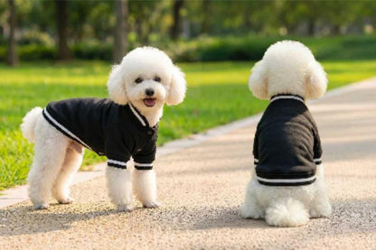 Hunde Collegejacke
