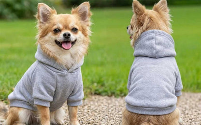 Hunde Kapuzenpullover